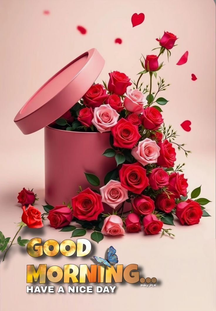 Good Morning Images, Pics and Wishes