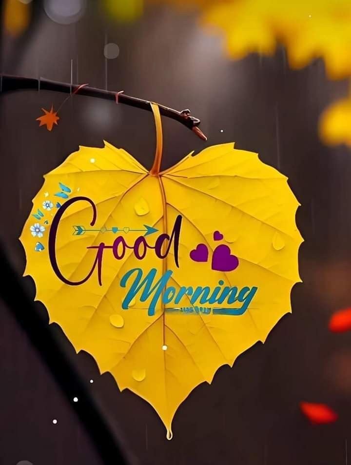 Good Morning Images, Pics and Wishes