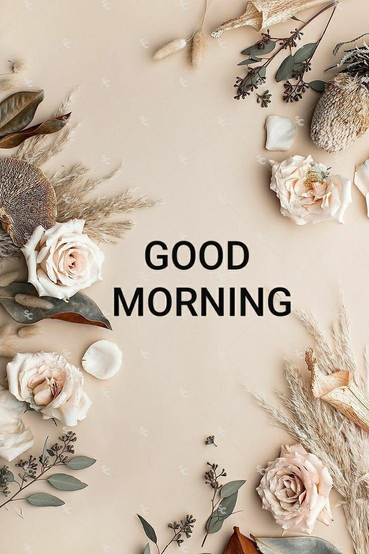 Good Morning Images, Pics and Wishes