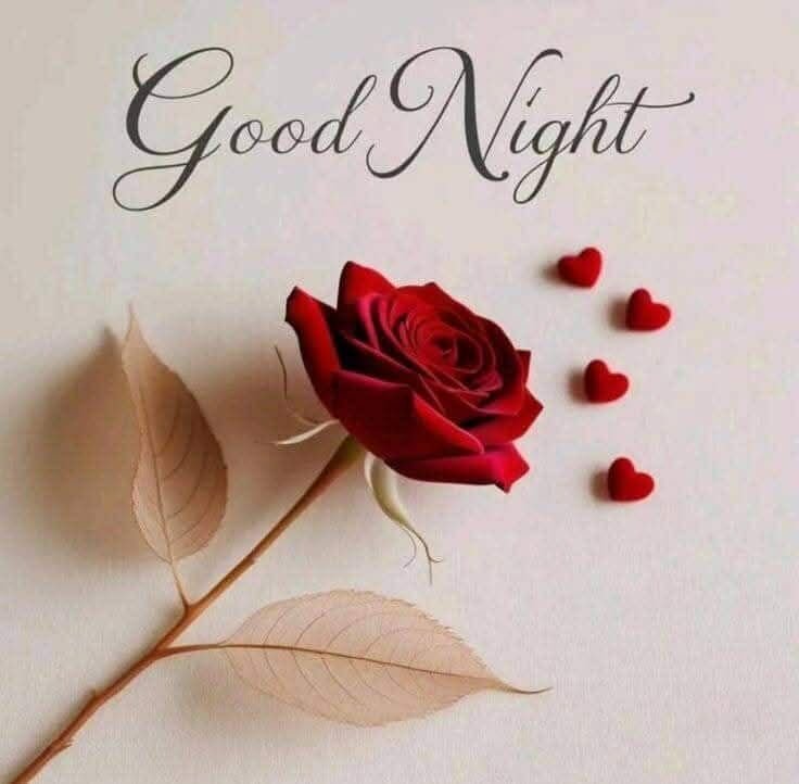 Good Night Images, Photos and Pictures