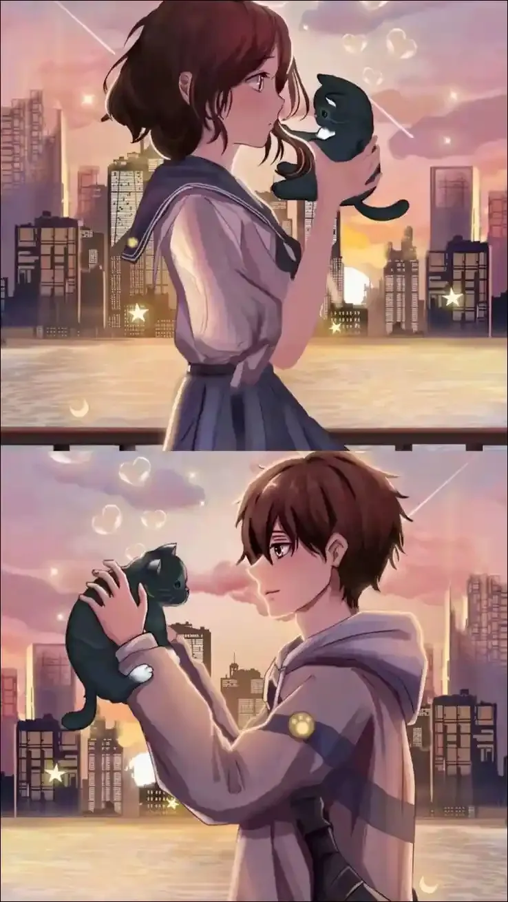 Anime DP, Images and Photos