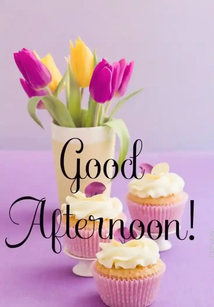 Good Afternoon Images, Photos and Pictures