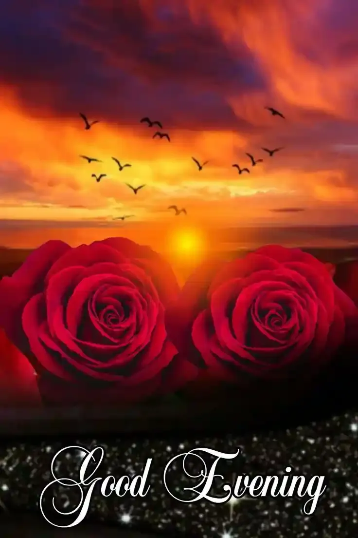 Good Evening Images, Photos and Wishes