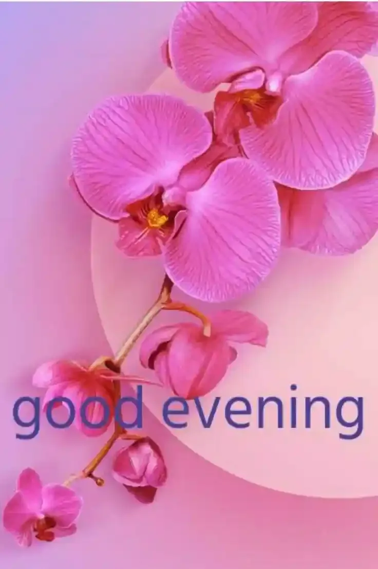 Good Evening Images, Photos and Wishes