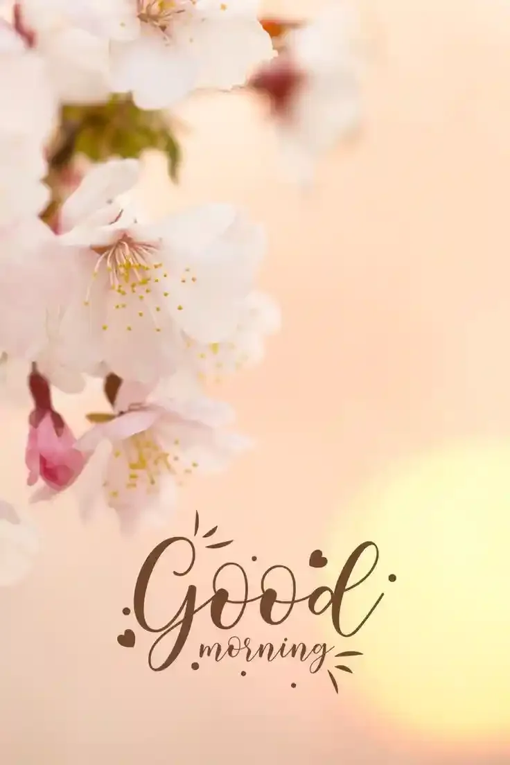 Good Morning Images, Pics and Wishes
