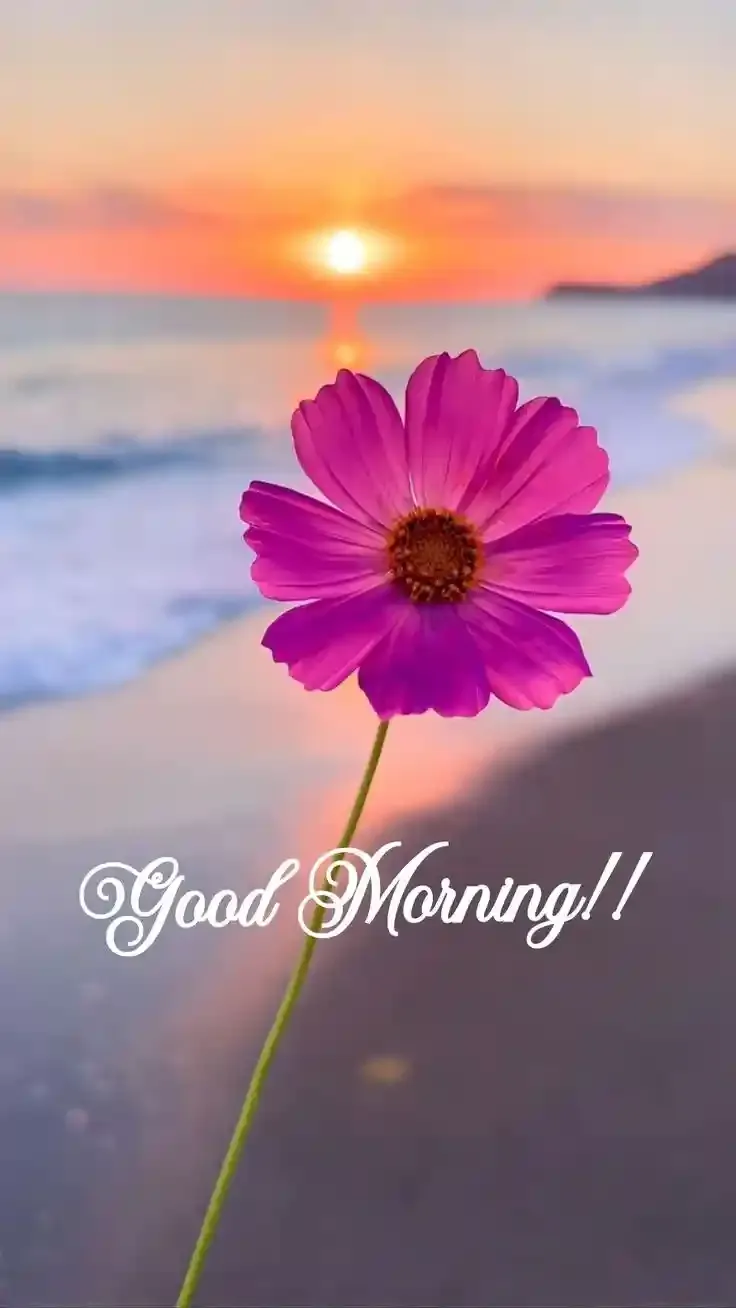 Good Morning Images, Pics and Wishes