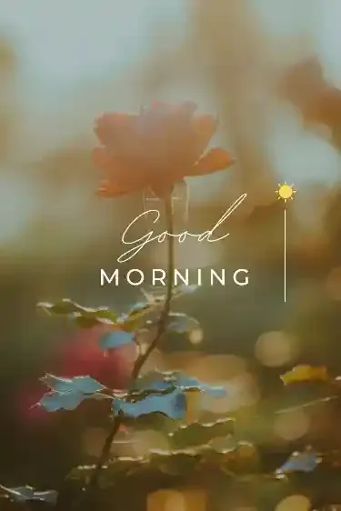 Good Morning Images, Pics and Wishes
