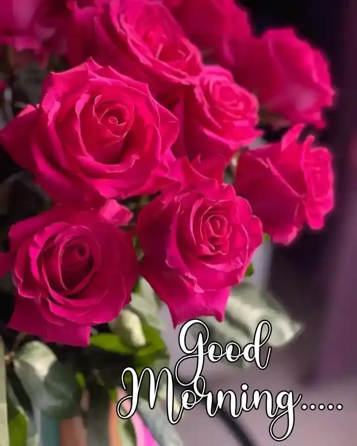 Good Morning Images, Pics and Wishes