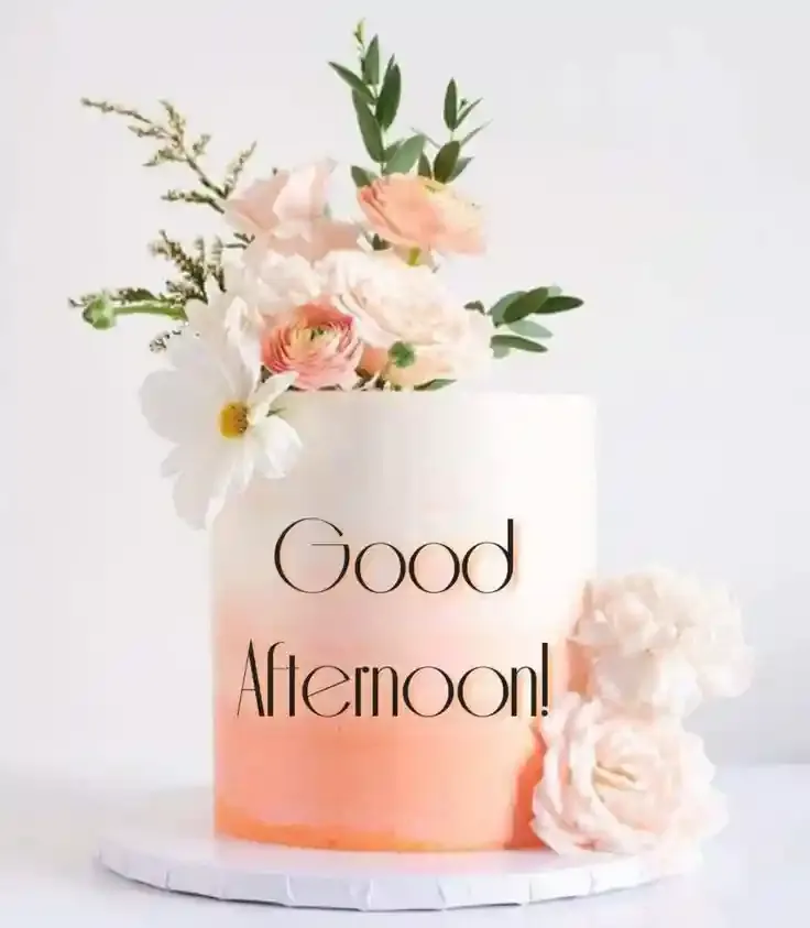 Good Afternoon Images, Photos and Pictures