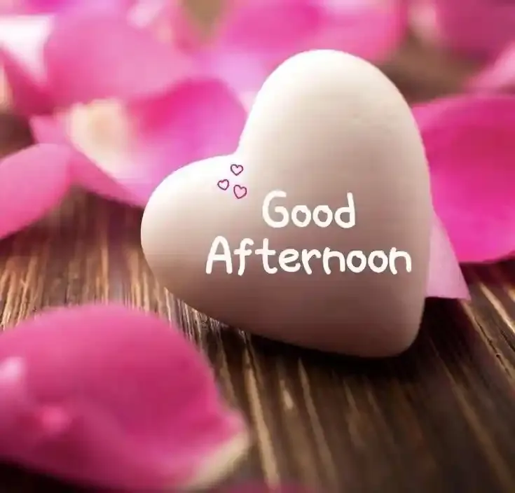 Good Afternoon Images, Photos and Pictures
