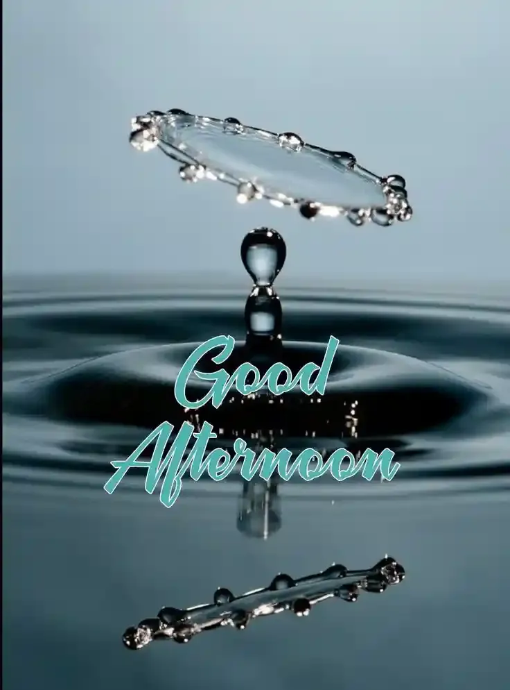 Good Afternoon Images, Photos and Pictures