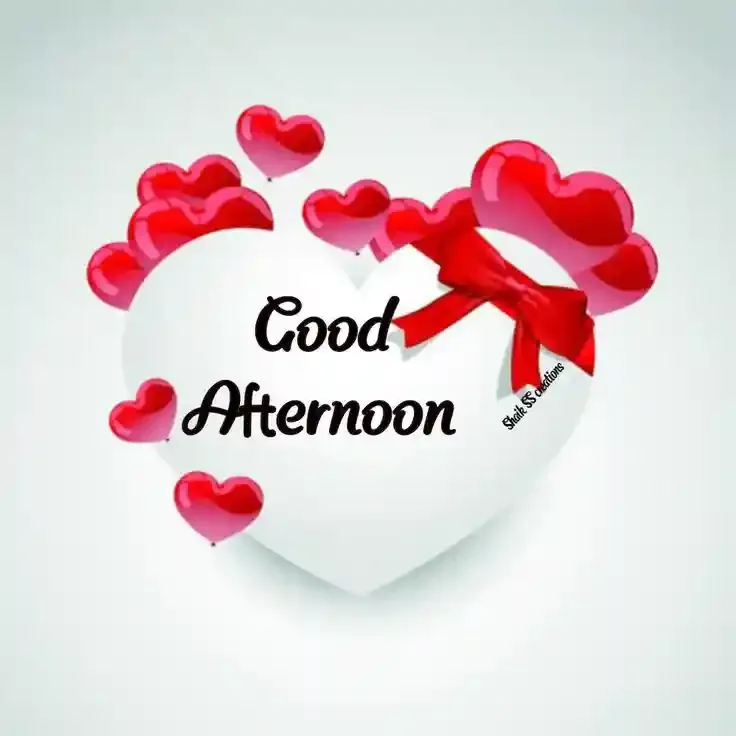 Good Afternoon Images, Photos and Pictures