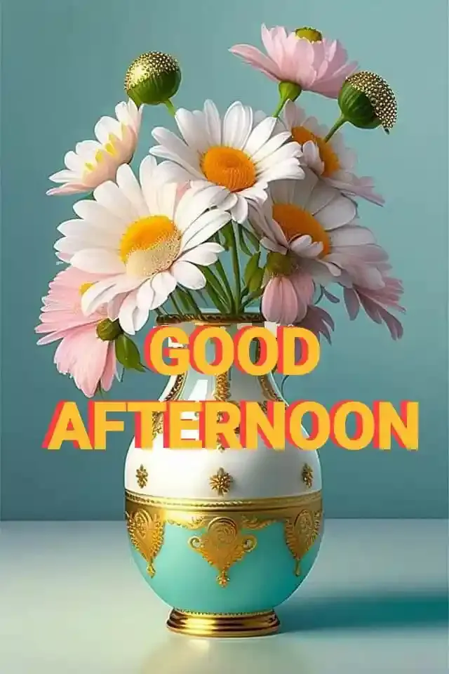 Good Afternoon Images, Photos and Pictures