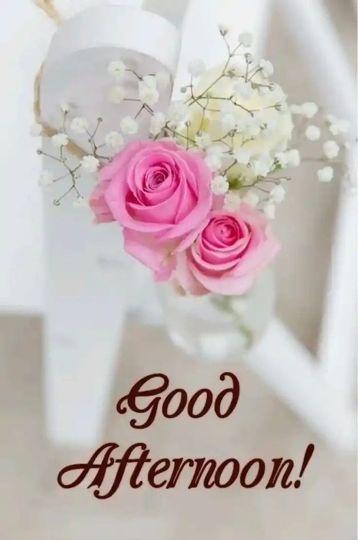 Good Afternoon Images, Photos and Pictures