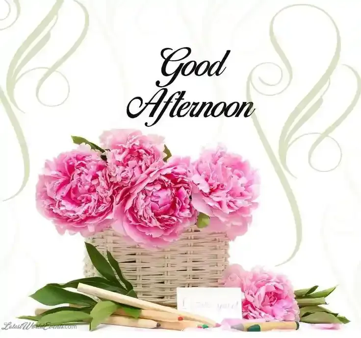 Good Afternoon Images, Photos and Pictures