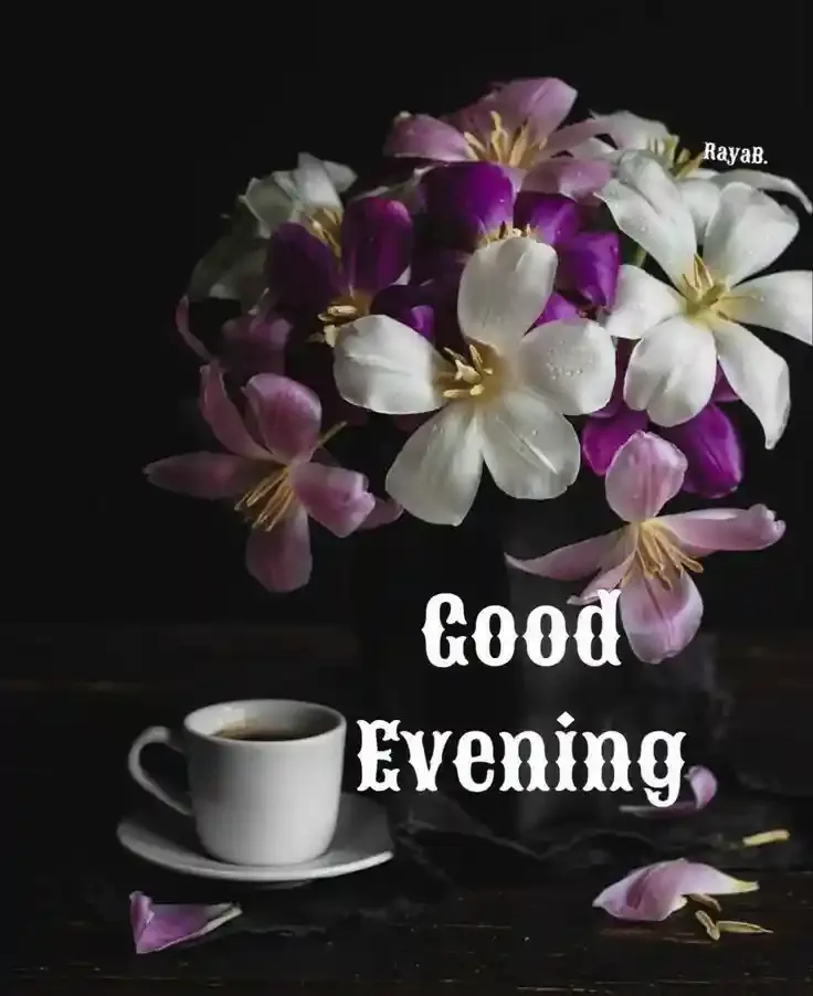 Good Evening Images, Photos and Wishes