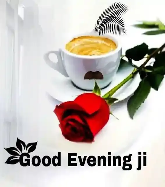 Good Evening Images, Photos and Wishes