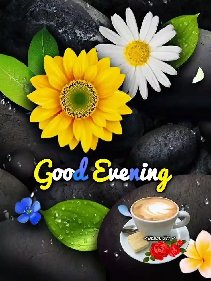 Good Evening Images, Photos and Wishes