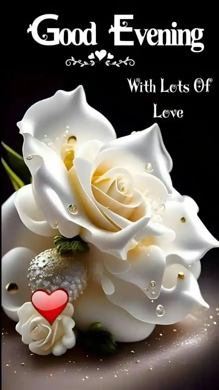 Good Evening Images, Photos and Wishes