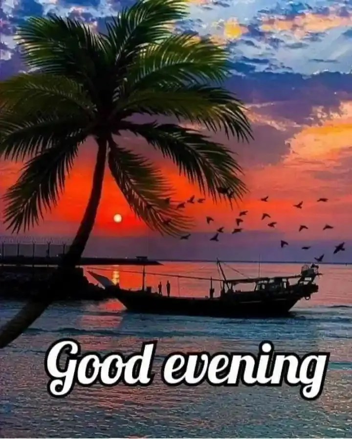 Good Evening Images, Photos and Wishes