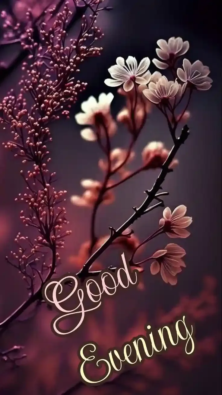 Good Evening Images, Photos and Wishes