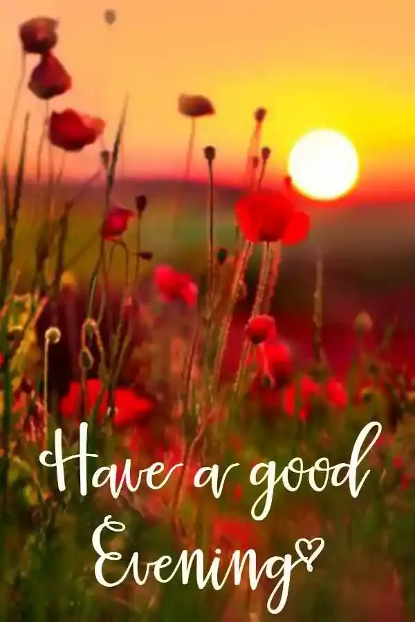 Good Evening Images, Photos and Wishes