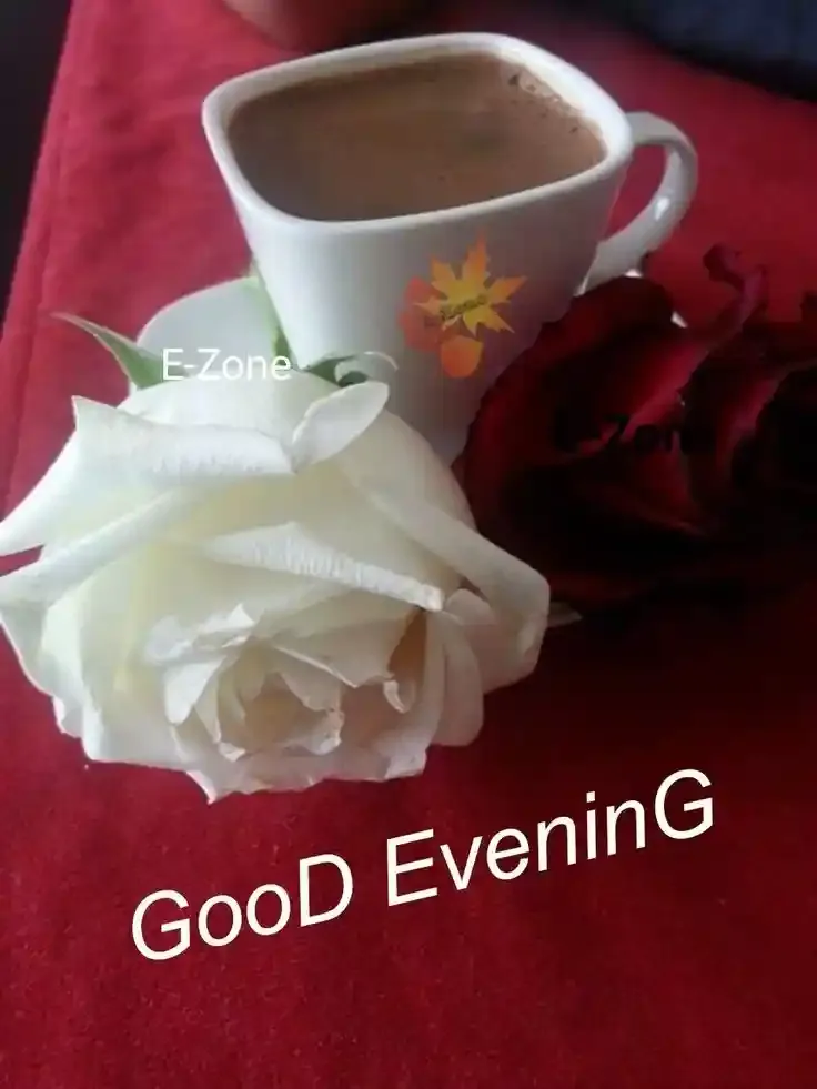 Good Evening Images, Photos and Wishes