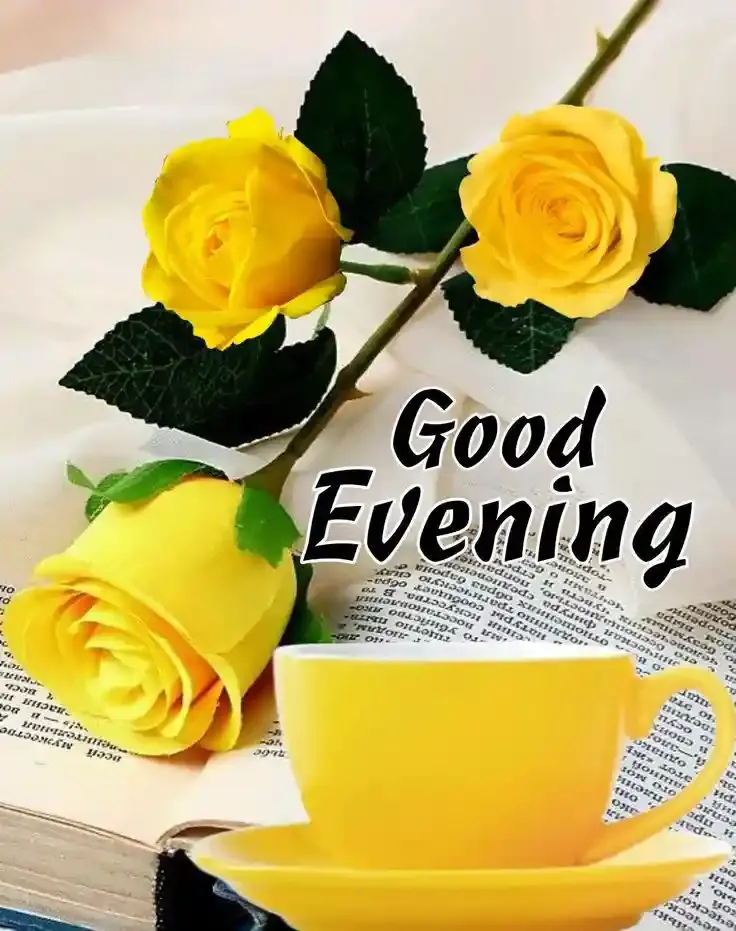 Good Evening Images, Photos and Wishes