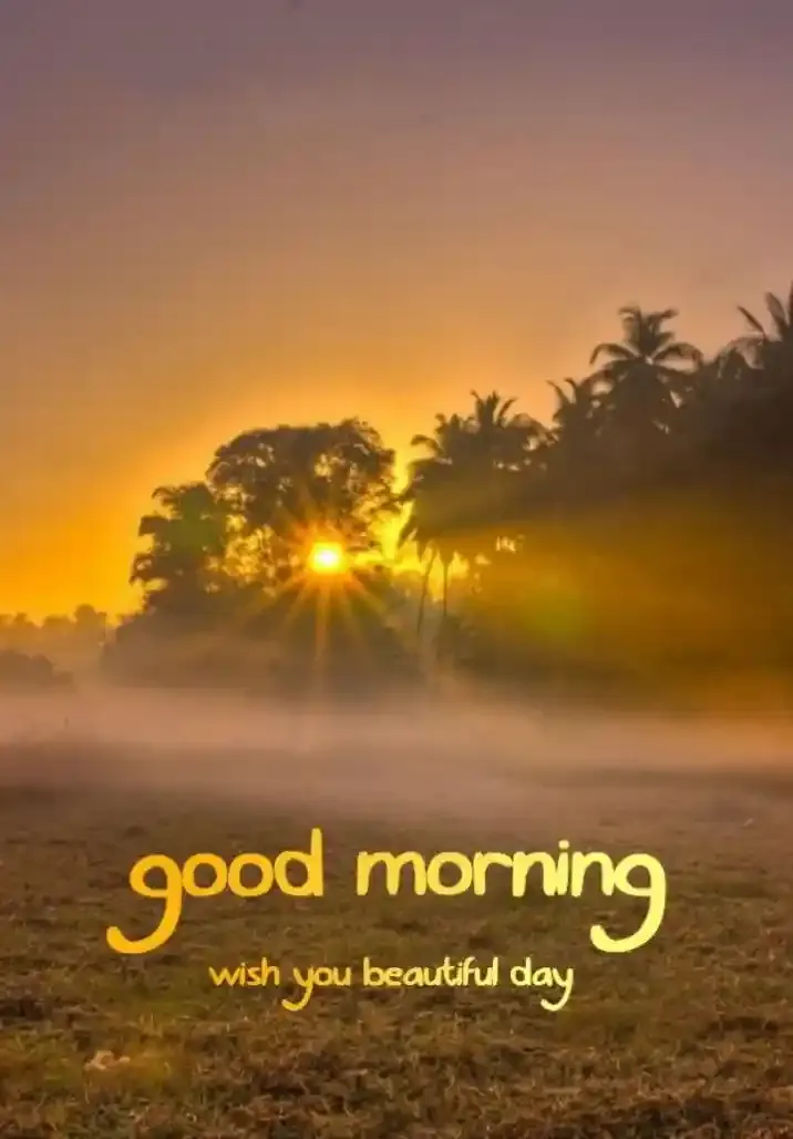 Good Morning Images, Pics and Wishes