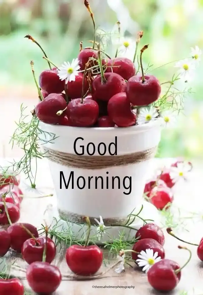 Good Morning Images, Pics and Wishes