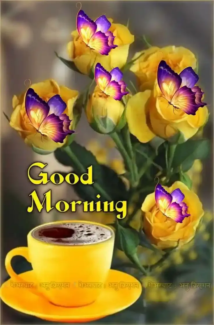 Good Morning Images, Pics and Wishes