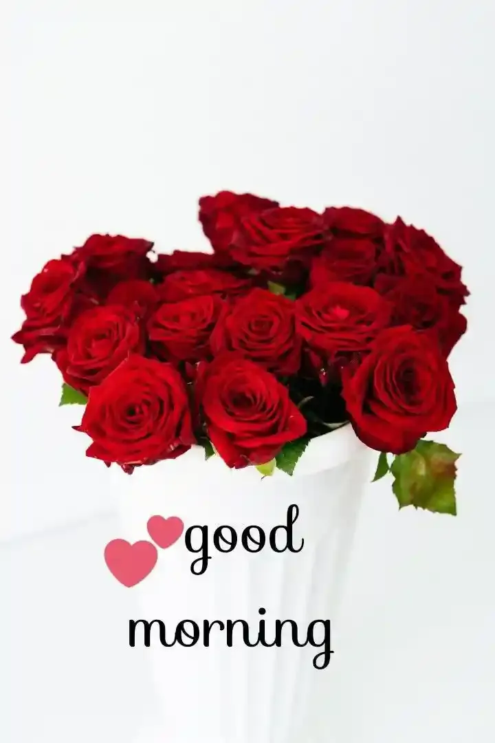 Good Morning Images, Pics and Wishes