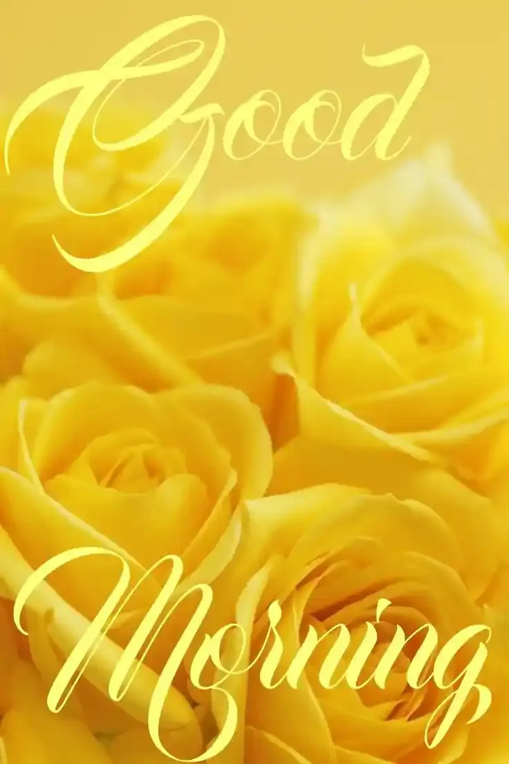 Good Morning Images, Pics and Wishes