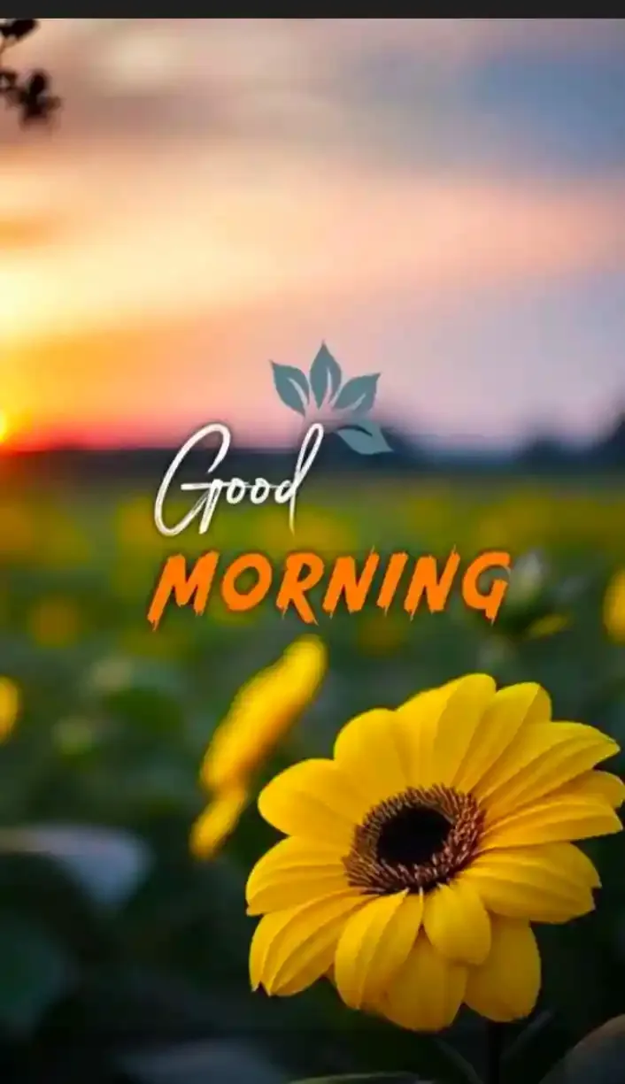 Good Morning Images, Pics and Wishes