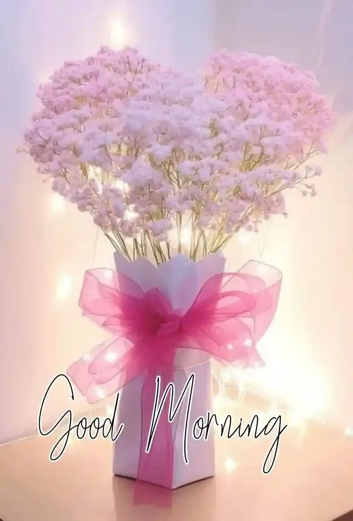 Good Morning Images, Pics and Wishes
