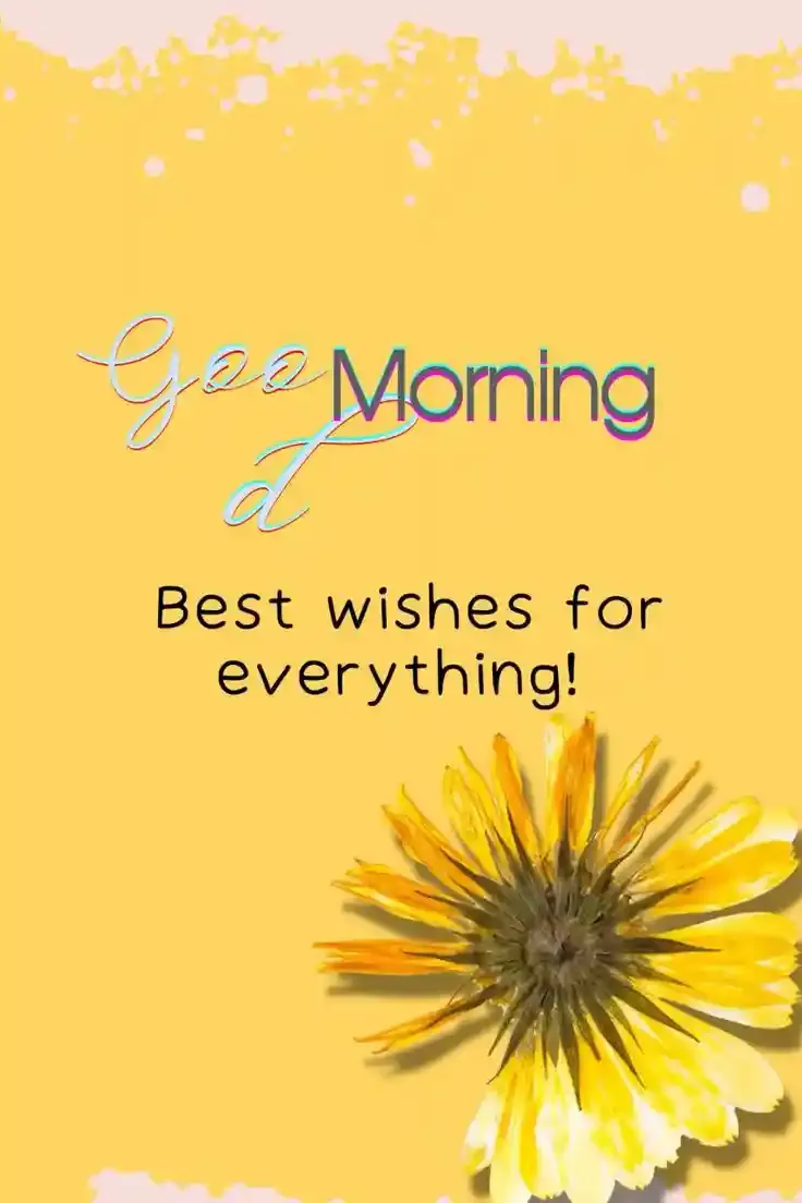 Good Morning Images, Pics and Wishes