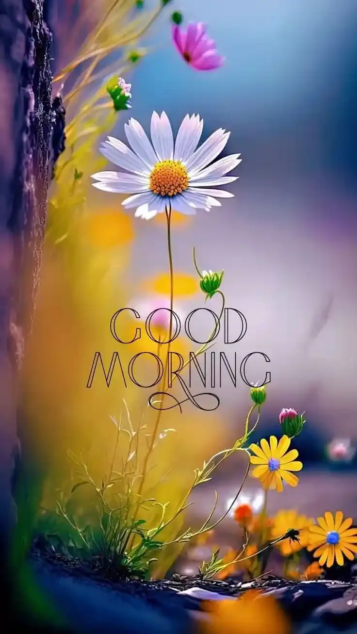 Good Morning Images, Pics and Wishes