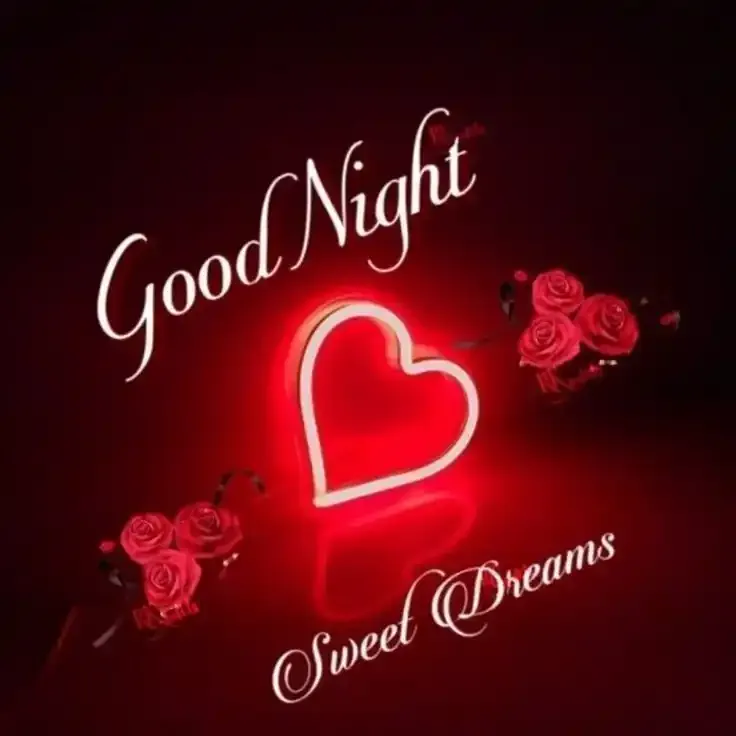Good Night Images, Photos and Pictures