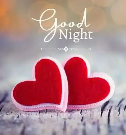 Good Night Images, Photos and Pictures