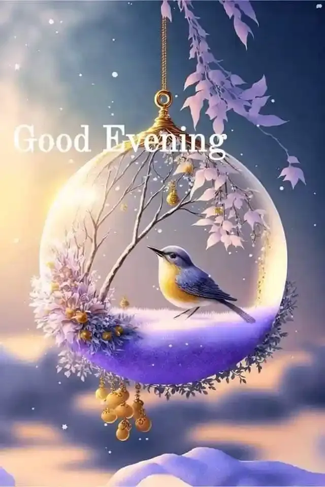 Good Evening Images, Photos and Wishes
