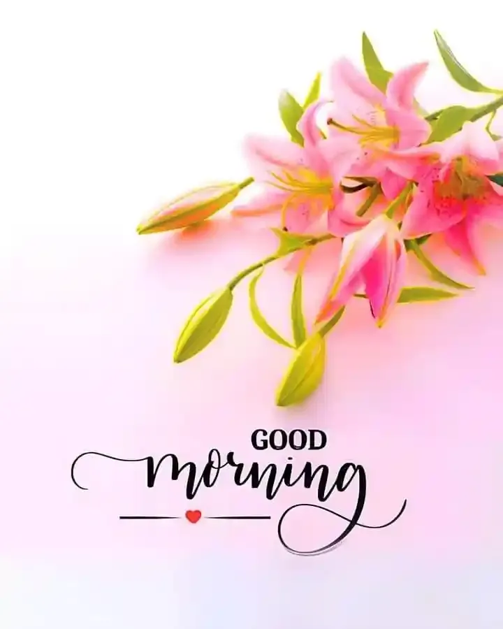 Good Morning Images, Pics and Wishes