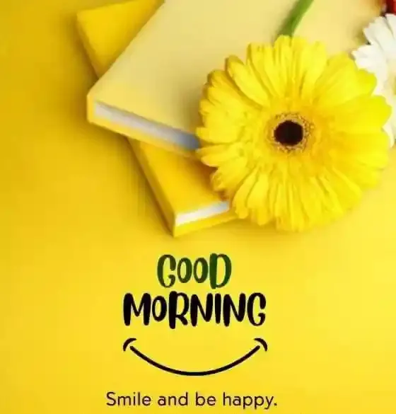Good Morning Images, Pics and Wishes