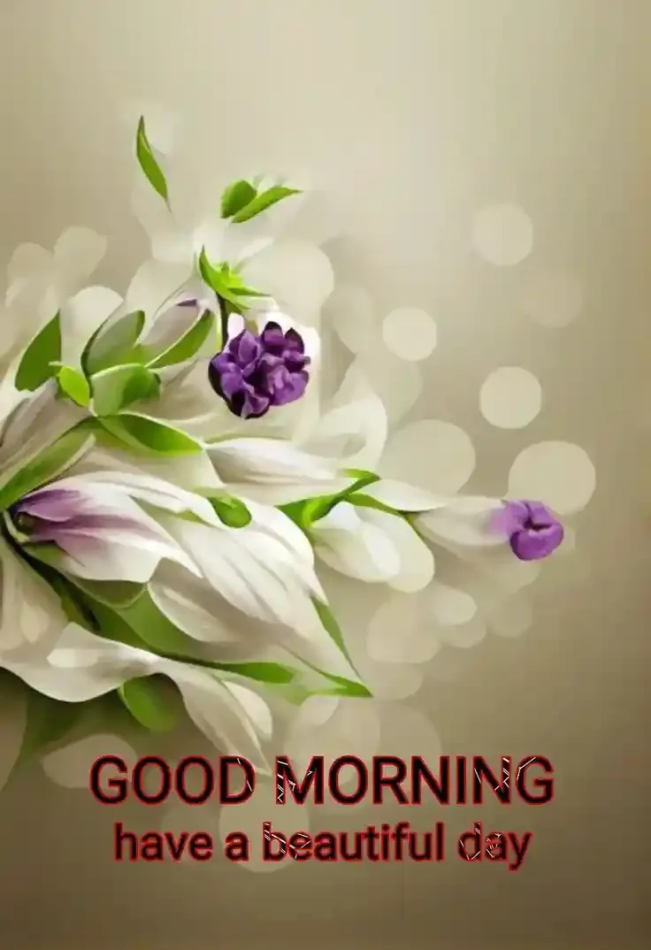 Good Morning Images, Pics and Wishes