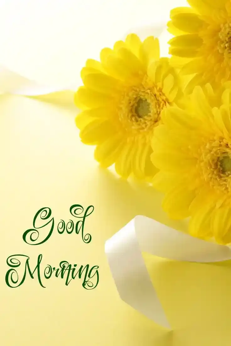 Good Morning Images, Pics and Wishes