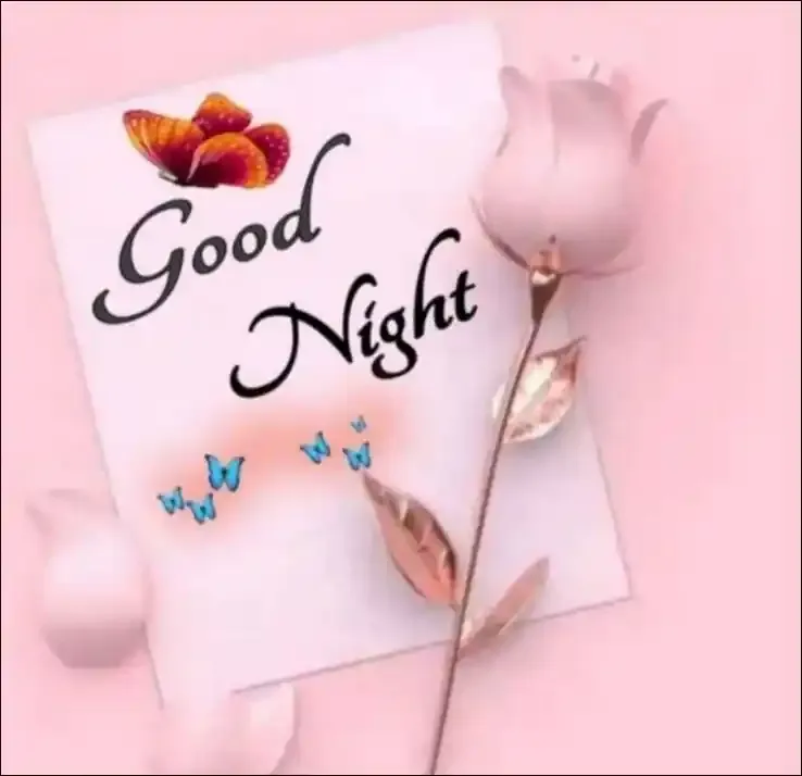 Good Night Images, Photos and Pictures