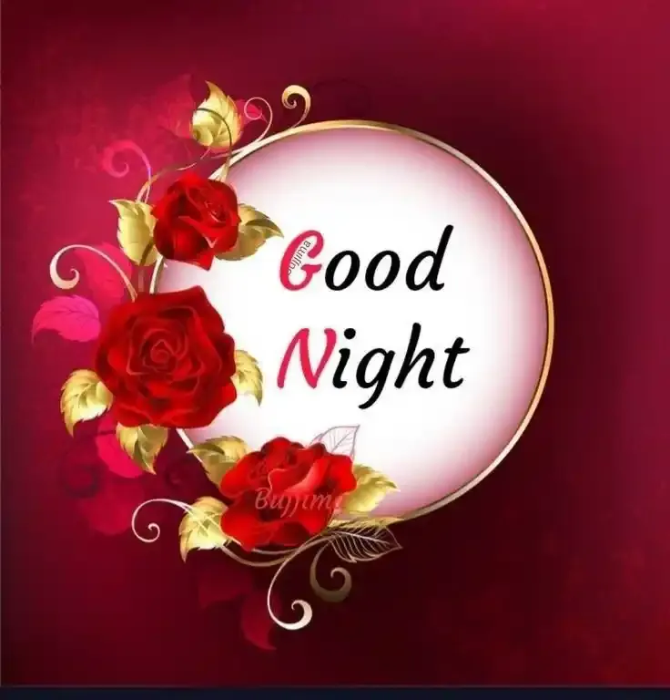 Good Night Images, Photos and Pictures