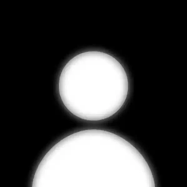No WhatsApp DP