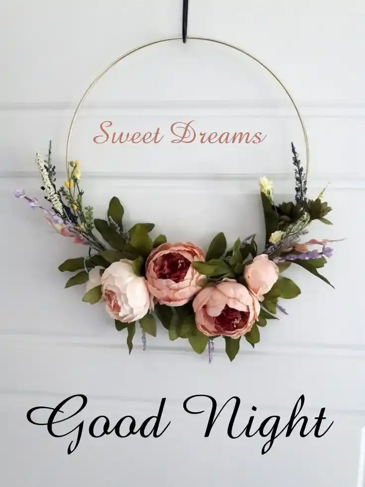 Good Night Images, Photos and Pictures