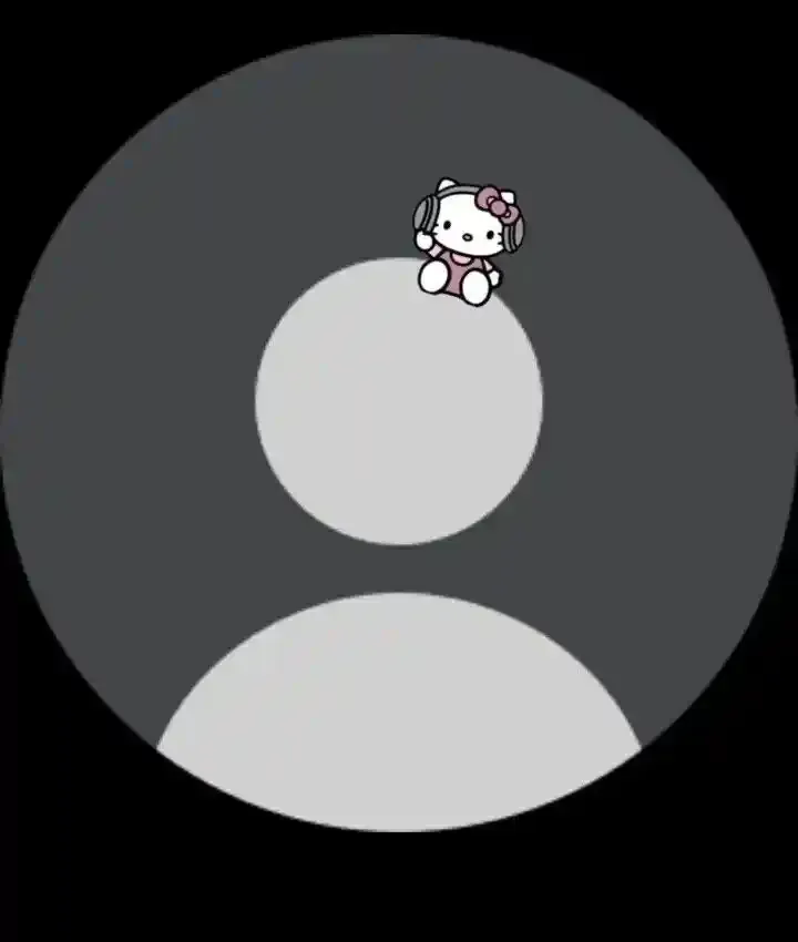 No WhatsApp DP
